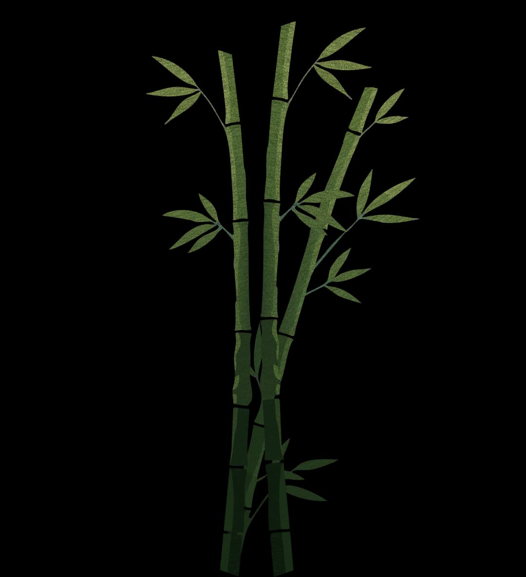 bamboo