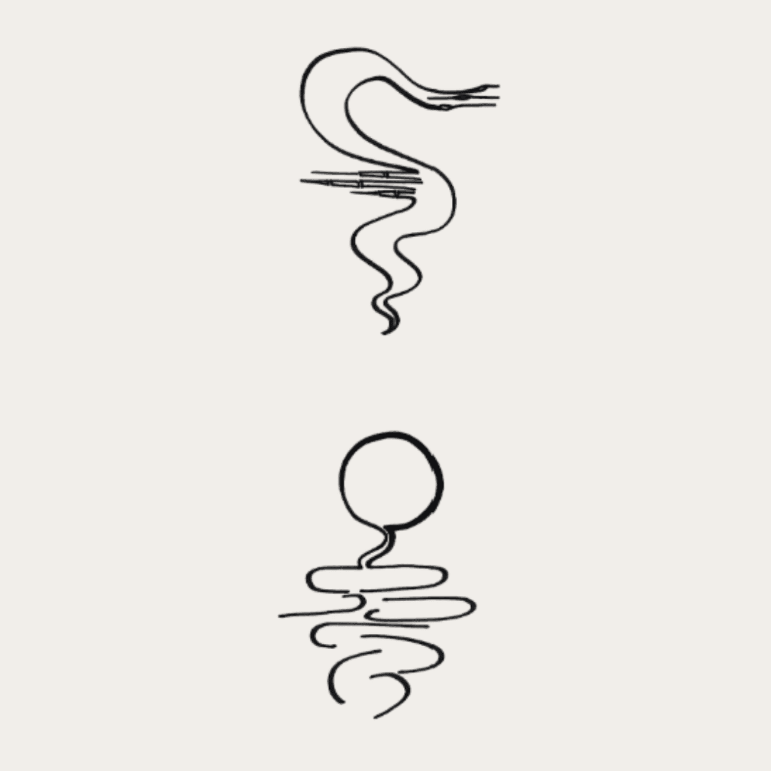 Imagen creada por Diego Arregui, artista visual.png